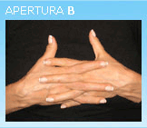 apertura_b.gif